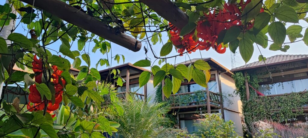 Hotel Boutique na Chapada dos Veadeiros